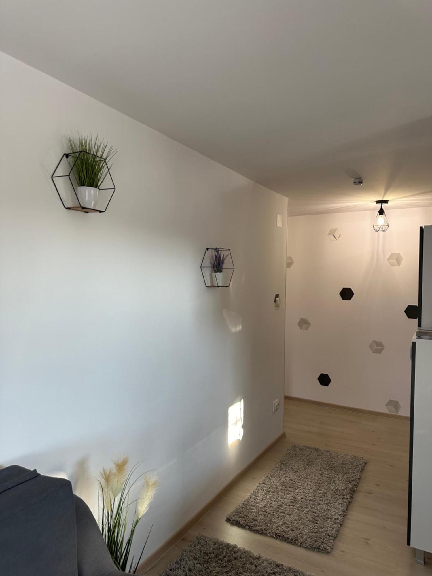 Jokai Apartments Nr7, Code Entry Sfântu-Gheorghe Exteriör bild